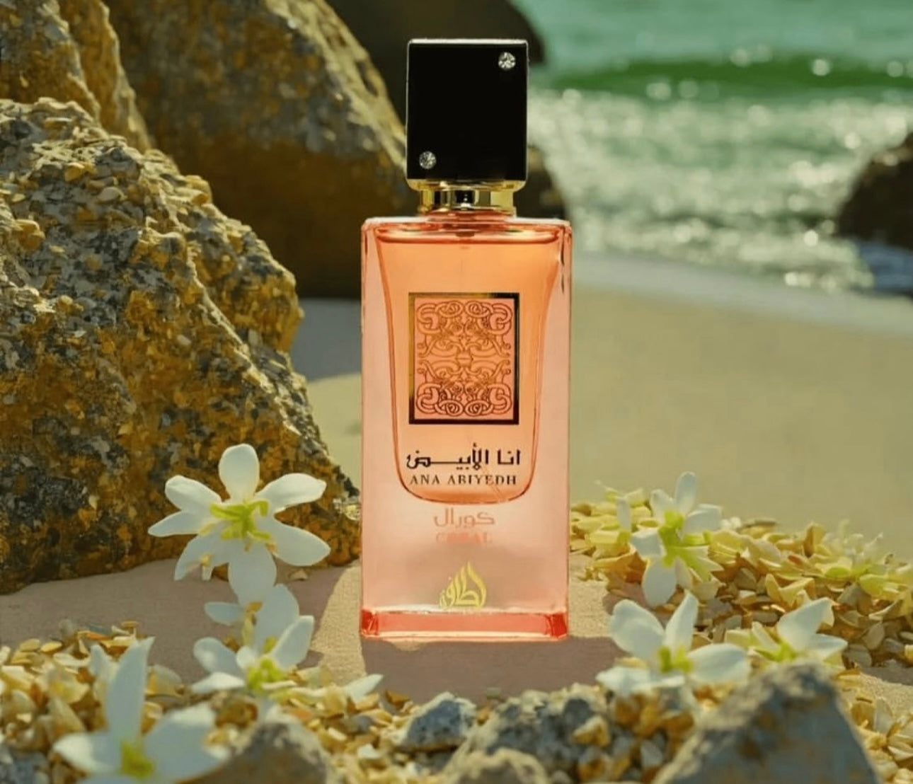 Ana Abiyedh Coral