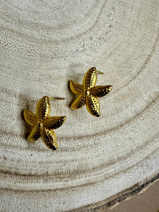 Brincos Estrela do mar - dourado